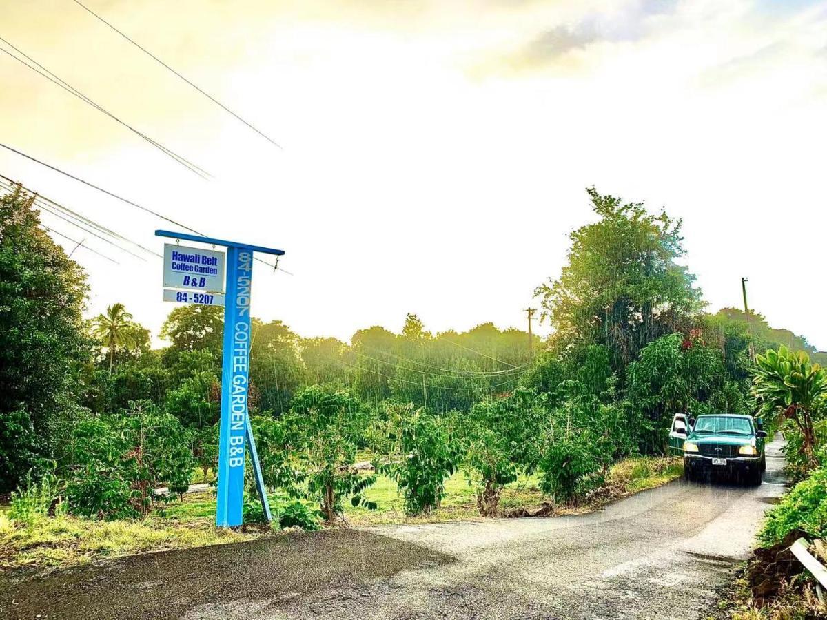 キャプテンクック Coffee Garden Bed & Breakfast エクステリア 写真
